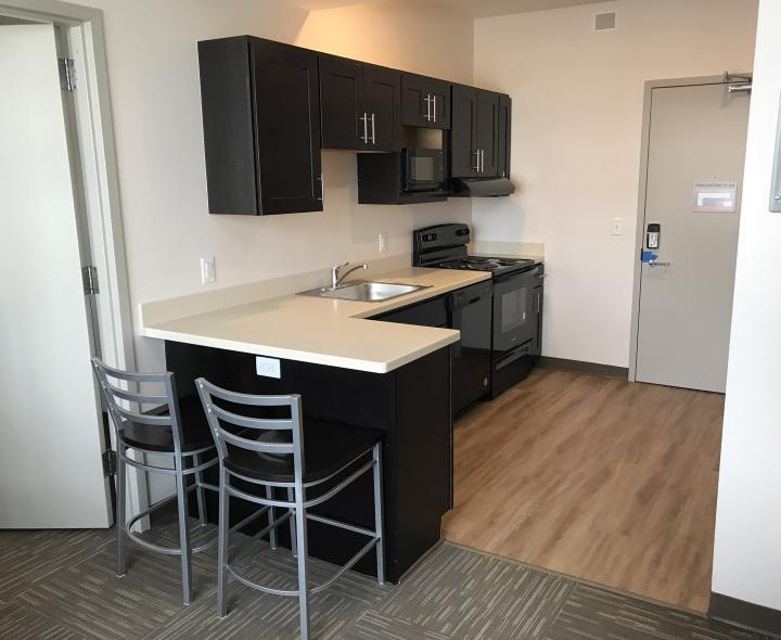 Wayne State's Most Expensive Student Housing Opens This Week